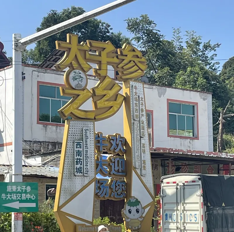Regional Prince Ginseng signage at the Shibing production area